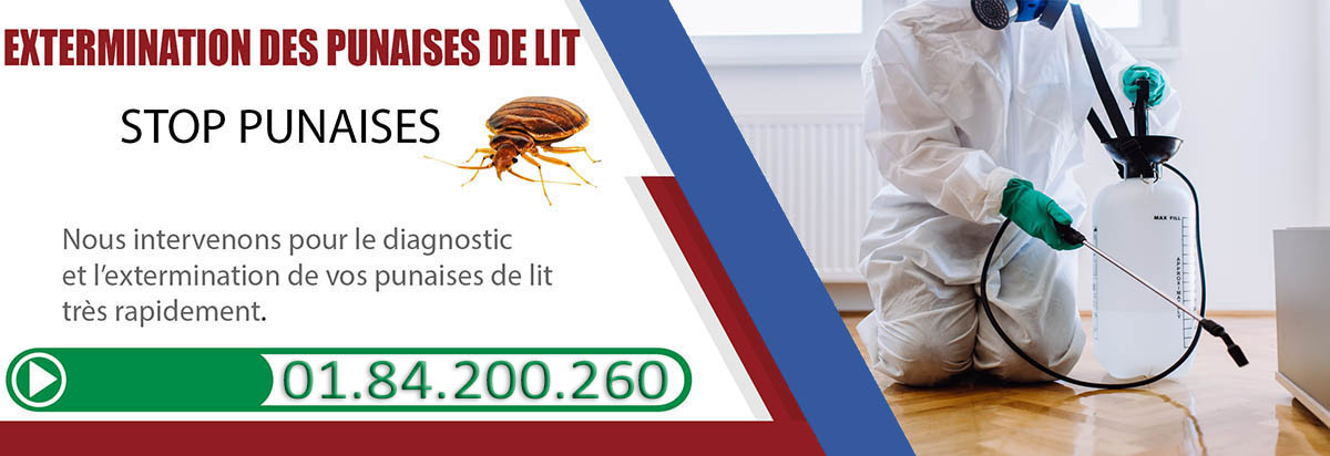 Punaises de Lit Boulogne Billancourt